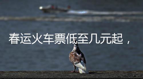春運(yùn)火車票低至幾元起，春節(jié)回家更輕松——深度解析春運(yùn)火車票優(yōu)惠政策