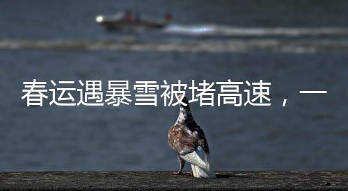 春運(yùn)遇暴雪被堵高速，一場(chǎng)突如其來的挑戰(zhàn)與應(yīng)對(duì)之道