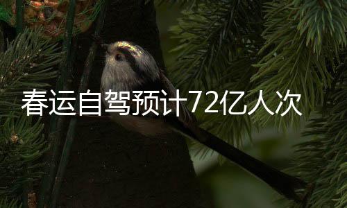 春運自駕預計72億人次！公安部發(fā)出交通安全提示