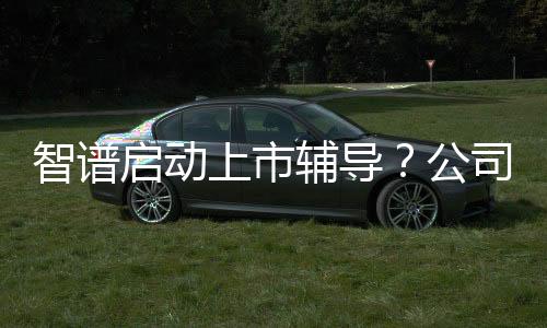 智譜啟動(dòng)上市輔導(dǎo)？公司回應(yīng)：正式啟動(dòng)IPO流程