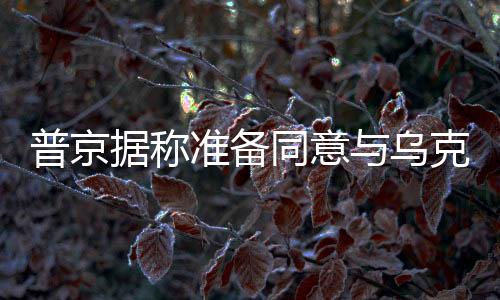 普京據(jù)稱準備同意與烏克蘭有條件地停戰(zhàn)，一場復雜的談判與地緣政治博弈的新動向