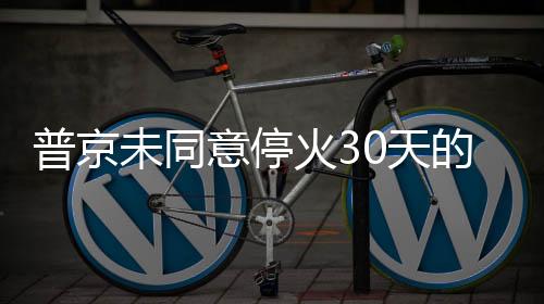 普京未同意?；?0天的立場與未來展望