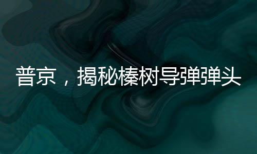 普京，揭秘榛樹導(dǎo)彈彈頭極度耐高溫特性