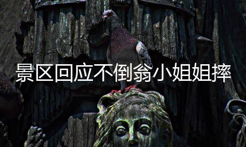 景區(qū)回應(yīng)不倒翁小姐姐摔倒事件，關(guān)注安全，保障游客體驗