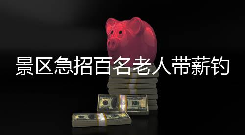 景區(qū)急招百名老人帶薪釣魚，垂釣體驗與休閑旅游結(jié)合創(chuàng)新服務(wù)模式