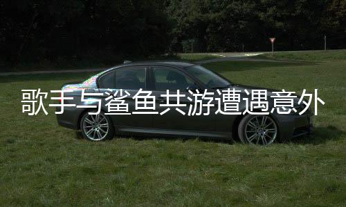歌手與鯊魚共游遭遇意外，一場驚心動魄的海洋冒險
