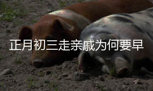 正月初三走親戚為何要早點(diǎn)回家——一份來(lái)自中國(guó)傳統(tǒng)文化習(xí)俗的解讀