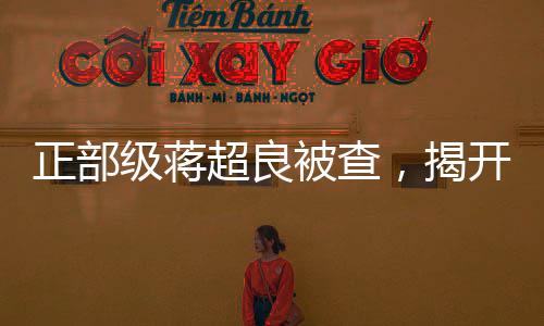 正部級蔣超良被查，揭開權(quán)力背后的隱秘面紗