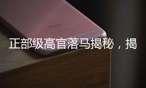 正部級高官落馬揭秘，揭秘逮捕過程及背后的深層原因