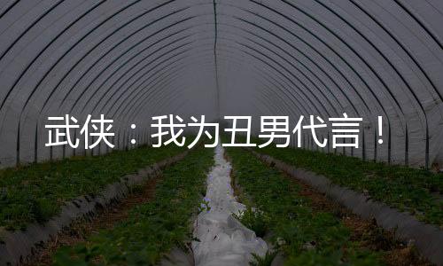武俠：我為丑男代言！