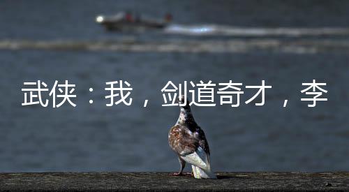 武俠：我，劍道奇才，李寒衣傾心