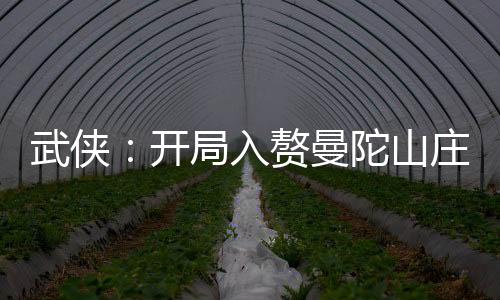 武俠：開局入贅曼陀山莊