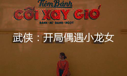 武俠：開(kāi)局偶遇小龍女