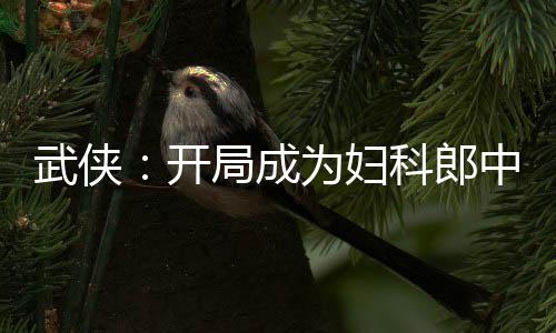 武俠：開局成為婦科郎中