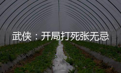 武俠：開局打死張無忌