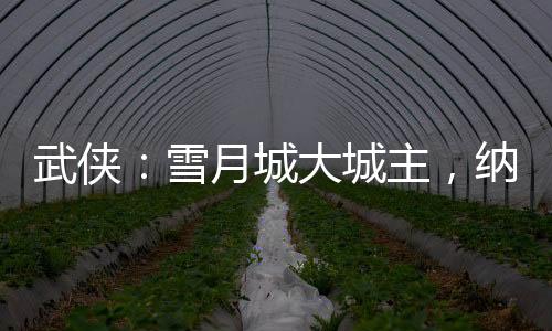 武俠：雪月城大城主，納妾李寒衣