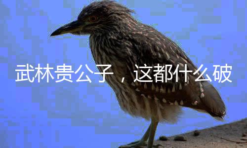 武林貴公子，這都什么破事