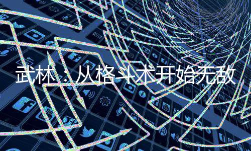 武林：從格斗術(shù)開始無敵