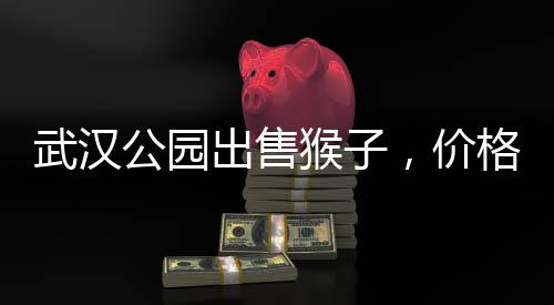 武漢公園出售猴子，價(jià)格起步3000元——引發(fā)關(guān)注和熱議