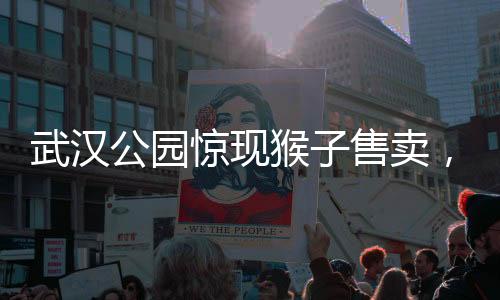 武漢公園驚現(xiàn)猴子售賣，單價(jià)高達(dá)三千元起，引發(fā)社會(huì)關(guān)注