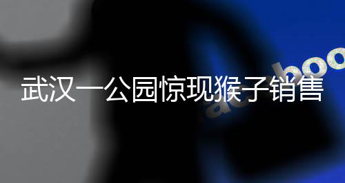 武漢一公園驚現(xiàn)猴子銷售，引發(fā)爭議與深思