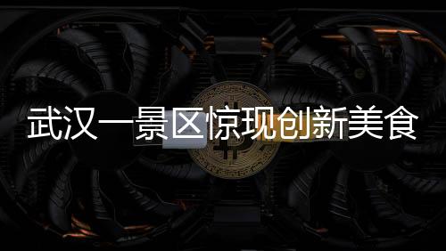 武漢一景區(qū)驚現(xiàn)創(chuàng)新美食，櫻花冰糖葫蘆，成為游客新寵