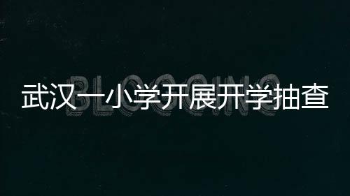 武漢一小學(xué)開(kāi)展開(kāi)學(xué)抽查行動(dòng)，關(guān)注學(xué)生書(shū)包重量問(wèn)題