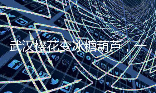 武漢櫻花變冰糖葫蘆，一場(chǎng)視覺盛宴的呈現(xiàn)
