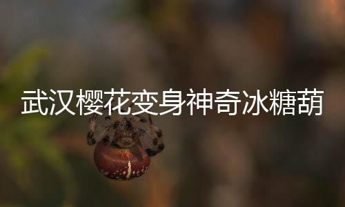武漢櫻花變身神奇冰糖葫蘆，美麗文化交融呈現(xiàn)城市新面貌