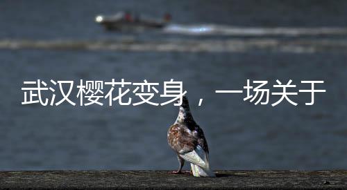 武漢櫻花變身，一場關(guān)于冰糖葫蘆的創(chuàng)意之旅