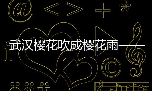武漢櫻花吹成櫻花雨——綻放之城的美學奇跡