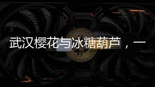 武漢櫻花與冰糖葫蘆，一場別樣的文化交融之旅