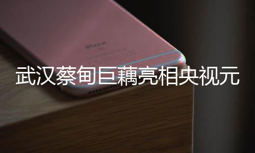 武漢蔡甸巨藕亮相央視元宵晚會(huì)，一展地方文化魅力