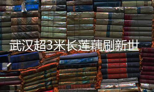 武漢超3米長(zhǎng)蓮藕刷新世界紀(jì)錄