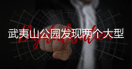 武夷山公園發(fā)現(xiàn)兩個大型真菌新物種，揭示自然奧秘的新篇章