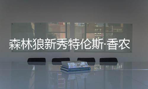 森林狼新秀特倫斯·香農閃耀賽場，獨得25分