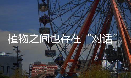 植物之間也存在“對(duì)話”交流？讀懂植物的“聊天記錄”