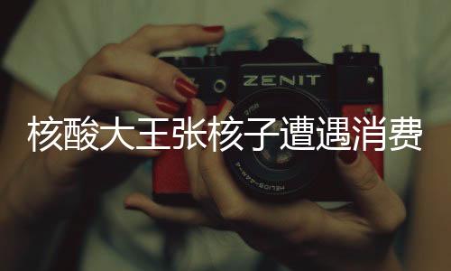 核酸大王張核子遭遇消費限制——揭示背后的故事與教訓