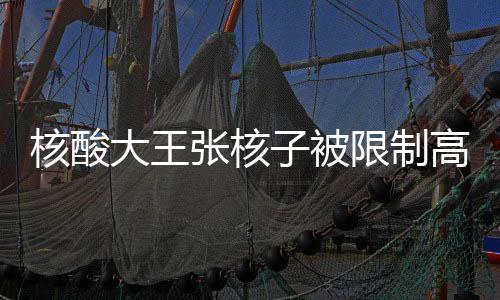 核酸大王張核子被限制高消費(fèi)——關(guān)于企業(yè)家與個(gè)人責(zé)任的深度解讀