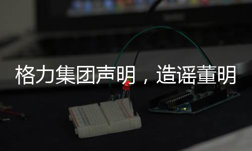 格力集團(tuán)聲明，造謠董明珠的五個(gè)幕后黑手遭受行政處罰