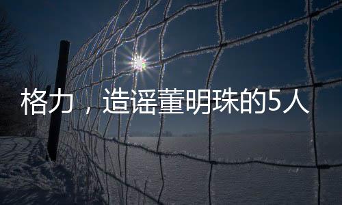 格力，造謠董明珠的5人被行政處罰