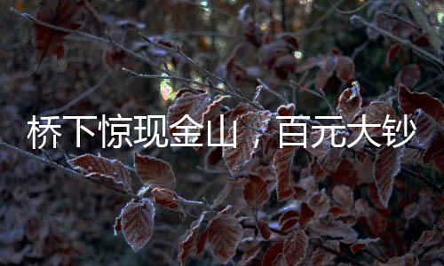 橋下驚現(xiàn)金山，百元大鈔鋪滿地