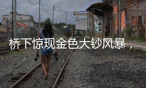 橋下驚現(xiàn)金色大鈔風(fēng)暴，揭開背后的神秘面紗