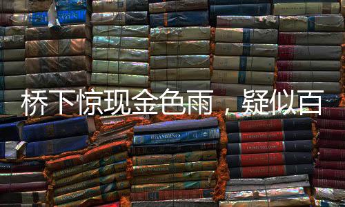 橋下驚現(xiàn)金色雨，疑似百元大鈔滿天飛舞，知情者首度發(fā)聲揭秘