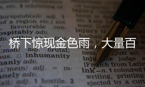 橋下驚現(xiàn)金色雨，大量百元大鈔散落一地，背后隱藏著哪些故事？