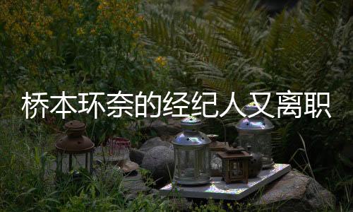 橋本環(huán)奈的經(jīng)紀(jì)人又離職了！這已經(jīng)是第九位