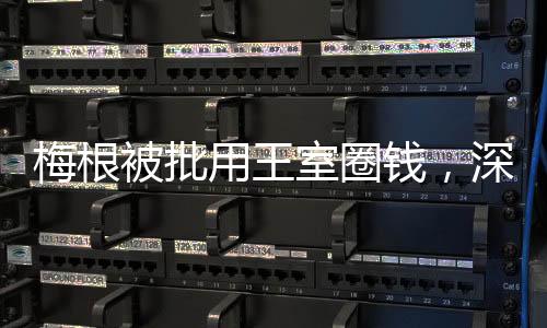 梅根被批用王室圈錢，深度探究事件背后真相