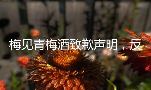 梅見青梅酒致歉聲明，反思、整改與未來品質(zhì)承諾