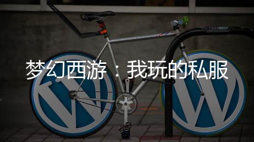 夢幻西游：我玩的私服