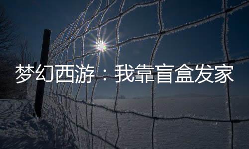 夢幻西游：我靠盲盒發(fā)家致富